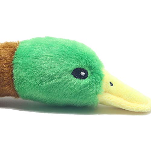 ZEMENG Creative Perro MASTICO Juguete Forma de Pato Anti-mordida Mascota chirrido Perro Juguete Juguete Juguete Juguete para Perros Gatos Suministros Mascotas Gato Perro favores 2 Tipos