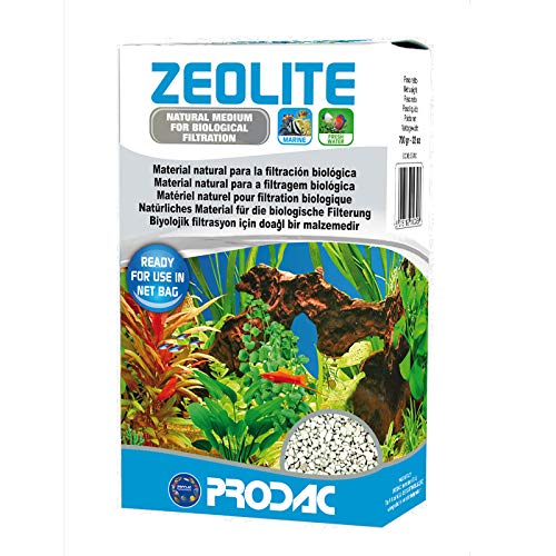 Zeolite 700 Gr Zeolita Pura