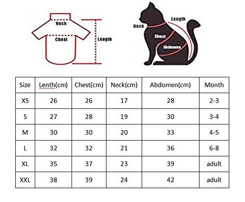 ZHIHAN Sphinx Blue Plus suéter de Terciopelo Anti-Piel sin Piel Ropa de Gato, M, Azul
