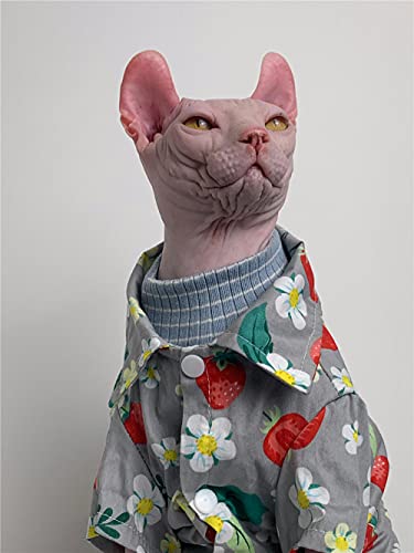 ZHIHAN Sphinx Gato Ropa sin Pelo Gato Camisa de Primavera y Verano cárdigan, Gris, XXL