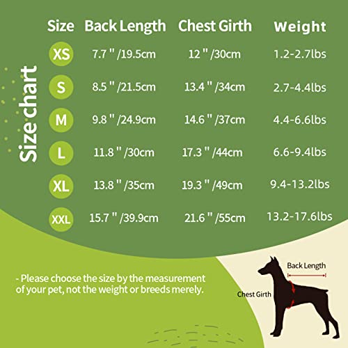 ZISRA Pirámide del Antiguo Egipto Impreso Abrigo para Perros de Invierno Ropa para Mascotas para Perros pequeños y medianos con Capucha X-Small