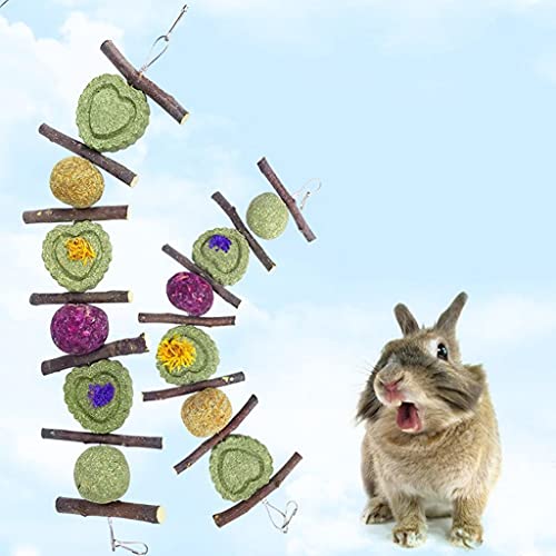 zrshygs Dientes de Animales Juguetes molares hámster Conejo Ramas de árboles Bola de Hierba Suministros de molienda para Mascotas pequeñas Pastel de Regaliz