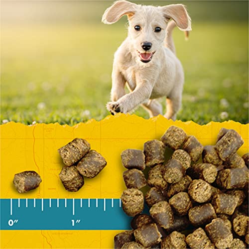 Zuke's Puppy Naturals Puppy Treats Receta de Cordero y garbanzo, Bolsa de 5 onzas