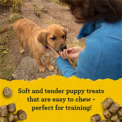 Zuke's Puppy Naturals Puppy Treats Receta de Cordero y garbanzo, Bolsa de 5 onzas
