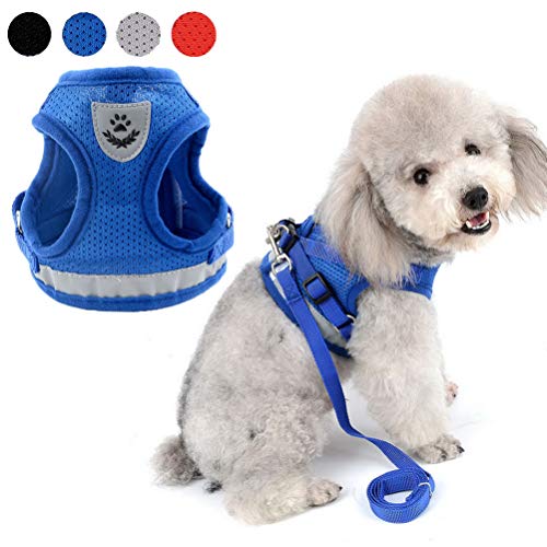 Zunea - Arnés ajustable para cachorros, perros pequeños o gatos, sin tirones, de malla suave, acolchado, arnés con correa y logotipo reflectantes, ideal para entrenamiento, salir a pasear y a correr