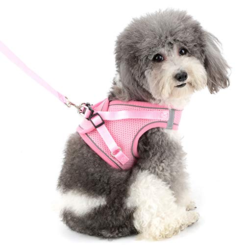 ZUNEA Arnés para Perro Pequeño Antitirones Ajustable Reflectante Arnés de Malla Suave Chaleco Gatos Arné Antifugas, Tamaños para Mascotas Perros Cachorro Chihuahua Rosa M