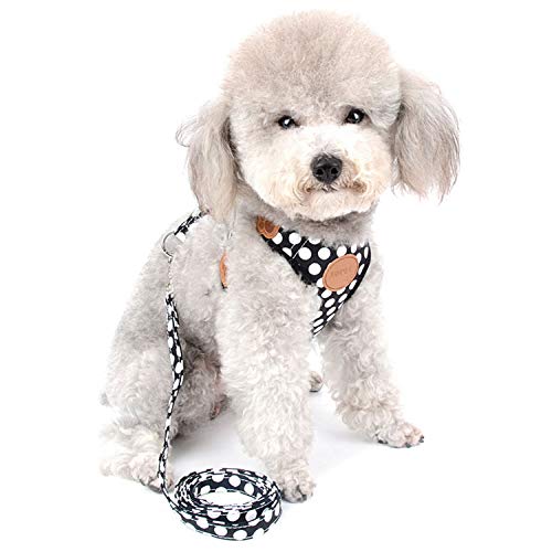 ZUNEA Arnés para Perro Pequeños Lunares Cachorros Gatos Arnés Correa Chaqueta de Seguridad Ajustable Antitirones Cómoda Malla Acolchada para Perro Chihuahua Negro S