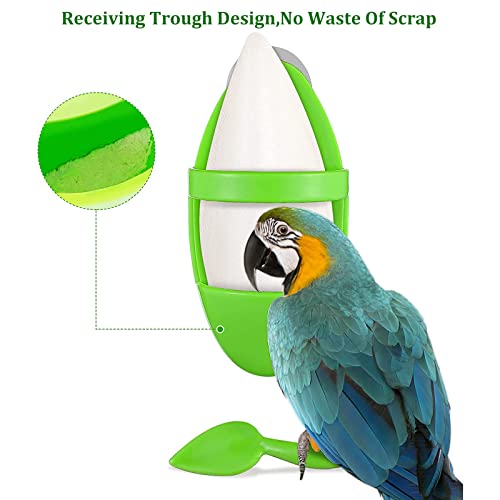 2 Piezas Dispensador De Comida Colgante Contenedor De Comida para Pájaros Loro Sepia Hueso Estante de Comida con Sepia para Guardar Frutas Huesos de Calamar Verduras Suministros para Aves de compañía