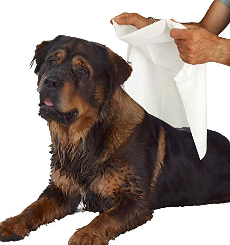 5 Toallas para Secar Mascotas En Viscosa Absorbente Cm 80 x 100 Medical Sud