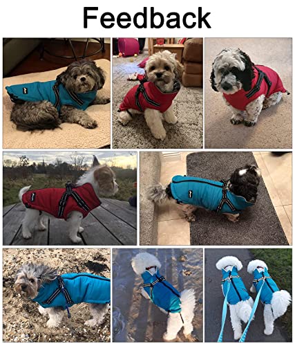 Abrigos y Chaquetas cálidos para Perros con arnés,Chaleco Reflectante Impermeable para Perros Mascotas, Ropa de Invierno para Perros con Correa en el Pecho,para Perros pequeños y medianos-Azul-M
