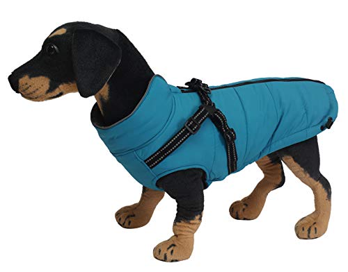 Abrigos y Chaquetas cálidos para Perros con arnés,Chaleco Reflectante Impermeable para Perros Mascotas, Ropa de Invierno para Perros con Correa en el Pecho,para Perros pequeños y medianos-Azul-M
