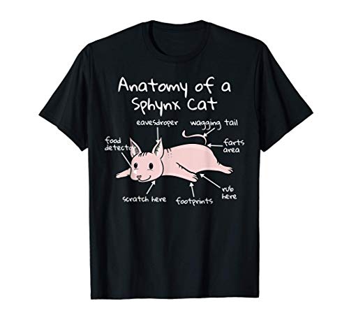 Anatomy Of A Gato Esfinge Mascota Camiseta
