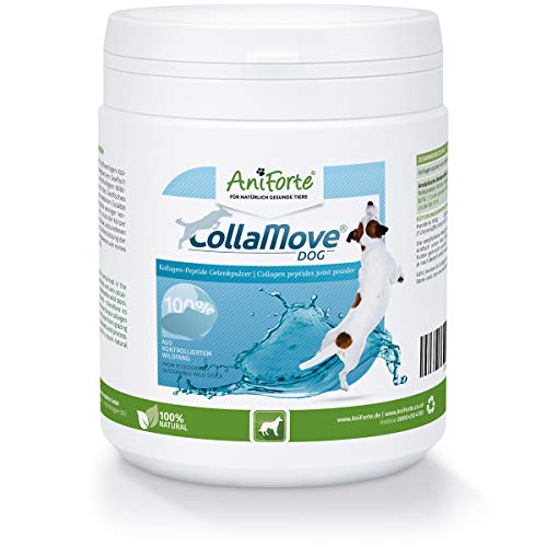 AniForte CollaMove en Polvo. Colágeno para articulaciones para perros 250g - polvo de colágeno de peces salvajes, péptidos de colágeno para las articulaciones, agilidad y mejora en el movimiento