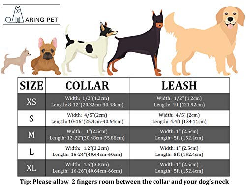 ARING PET Collar de perro y plomo, collar de perro de terciopelo y plomo, collar de perro niña niño, 5 tamaños ajustables: pequeño, pequeño, mediano, grande