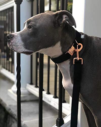 ARING PET Collar de perro y plomo, collar de perro de terciopelo y plomo, collar de perro niña niño, 5 tamaños ajustables: pequeño, pequeño, mediano, grande