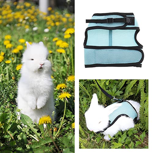 Arnés ajustable con correa de malla suave en el pecho para cachorros, gatitos, perros pequeños, medianos y gatos para paseos (azul talla L)