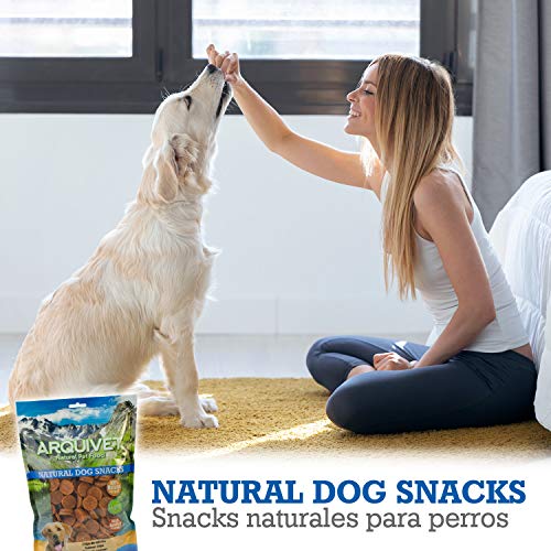 ARQUIVET Chips de salmón 1kg - Snacks 100% Naturales para Perros - Chuches, premios, golosinas, chucherías, recompensas caninas - Producto Light, bajo en Grasas