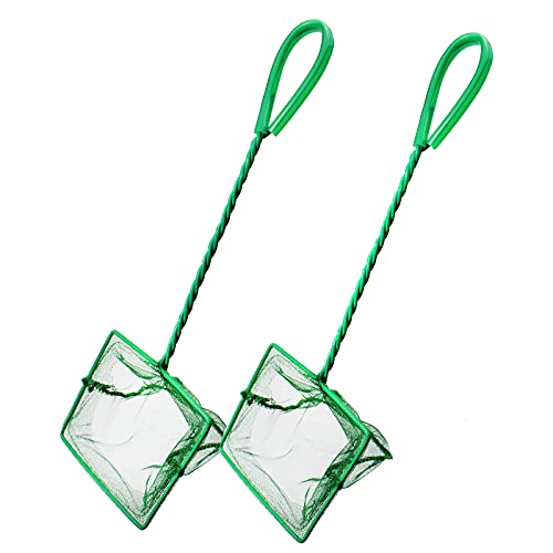 aupawdy 2 PCS Red Acuario Red de Malla Fina Red de Aterrizaje de Pesca Acuario Mini Fish Net Net para el Acuario Tanque Camarón el Acuario Fish