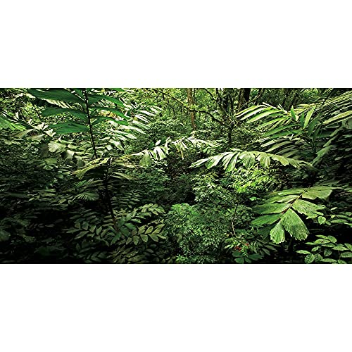 AWERT Fondo de terrario tropical de 61 x 30 cm, plantas tropicales, fondo de acuario, selva tropical, hábitat, fondo de vinilo duradero (no pegatina)