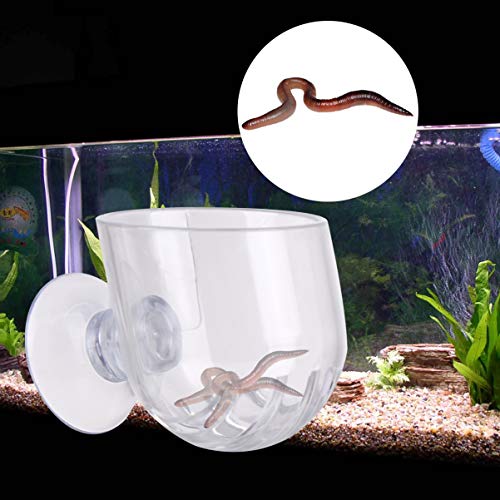 Balacoo Alimentador Automático de Acrílico para Pecera - Taza de Alimentación Alimentador de Nematodos para Camarones Herramienta de Alimentación Bandeja de Comida para Pecera