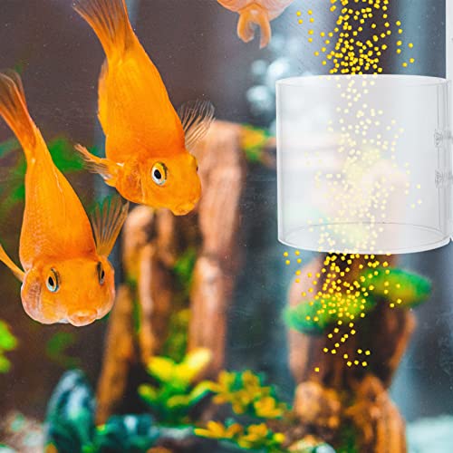Balacoo Camarones acrílicos para alimentación de tubo, plato: Mini acuario vivo, gusanos rojos, tazas, cuencos de alimentación para acuario, plato transparente para animales bentíficos (transparente)