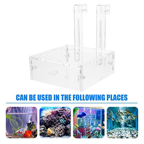 Balacoo Camarones acrílicos para alimentación de tubo, plato: Mini acuario vivo, gusanos rojos, tazas, cuencos, platos claros, bandeja para animales bentíficos (transparente)