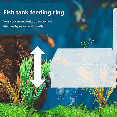 Balacoo Camarones acrílicos para alimentación de tubo, plato: Mini acuario vivo, gusanos rojos, tazas, cuencos, platos claros, bandeja para animales bentíficos (transparente)