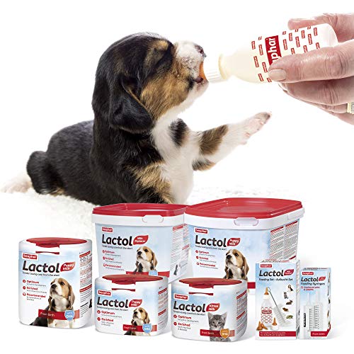 Beaphar Cachorro Lactol 500g