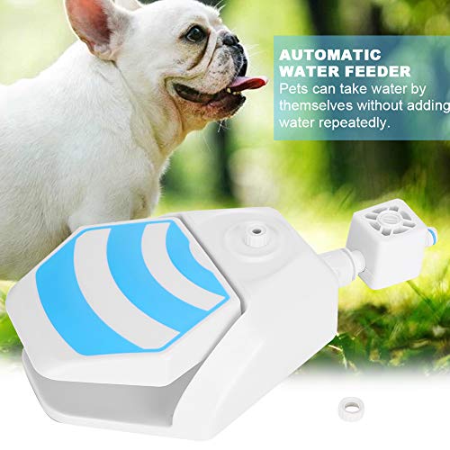 Bebedero para Perros con alimentador de Agua para el hogar al Aire Libre de Gatitos pequeños/medianos
