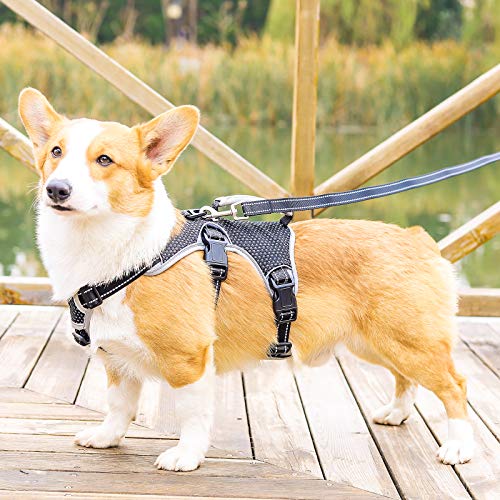 BELPRO Arnés de Apoyo Multiusos para Perro, a Prueba de Escape, Chaleco Reflectante Ajustable con Mango Duradero, arnés para Perros Grandes y Activos (Negro, S)
