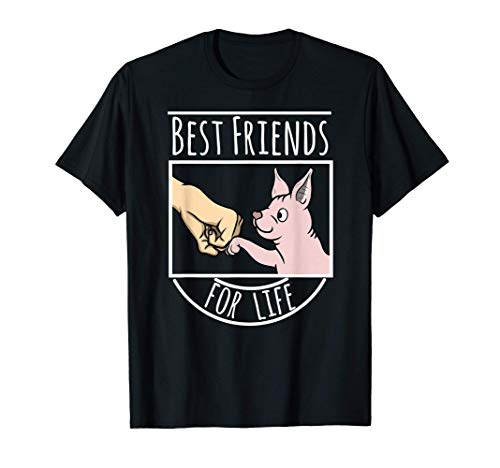 Best Friends Gato Esfinge Mascota Camiseta