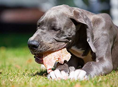 Bubimex - Orejas de Cerdo para Perro, 50 Unidades