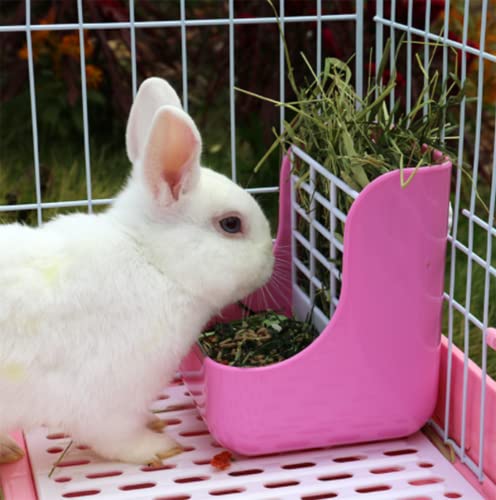 Bunny Rabbit Supplies Totoro - Cuenco para gatos con forma de conejo holandés, dos en uno, para mascotas, productos de aves de corral, cobayas, césped y conejo