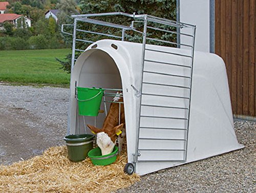 Calf House Master Plus con pesado umzäunung 14485 iglú Calf House