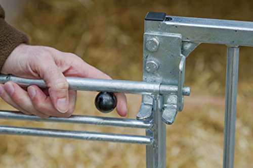 Calf House Master Plus con pesado umzäunung 14485 iglú Calf House