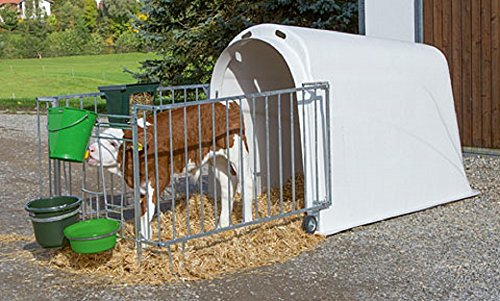 Calf House Master Plus con pesado umzäunung 14485 iglú Calf House
