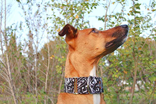 candyPet® Collar Martingale para Perros - Modelo Music, S