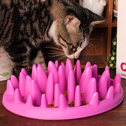 Cat Catch - Cuenco de alimentación interactivo, alimentación lenta antidesgarro para mascotas