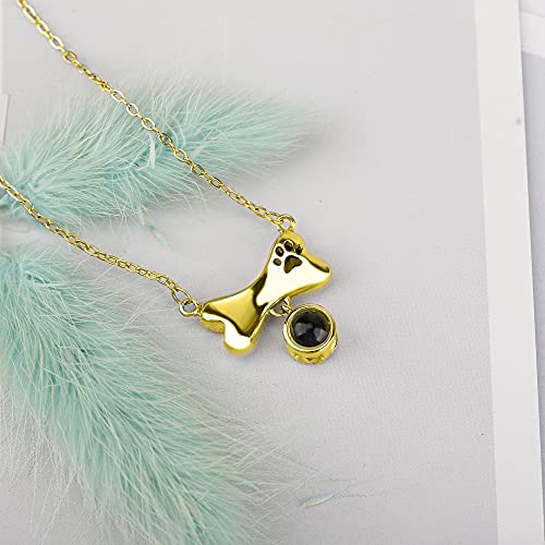 Collar de 100 idiomas en I Love You Collar de proyección de hueso de perro personalizado Nombre de mascota personalizado o colgante de memoria de imagen Regalo de joyería conmemorativa para amante de