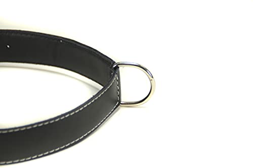 Collar para Perro de Piel, Perros pequeños, medianos y Grandes, Ancho y Resistente, Collares en Color marrón, Azul Marino, Negro y Rojo (L: Ajustable 36 - 46 CM, Ancho 2,5 CM, Negro)