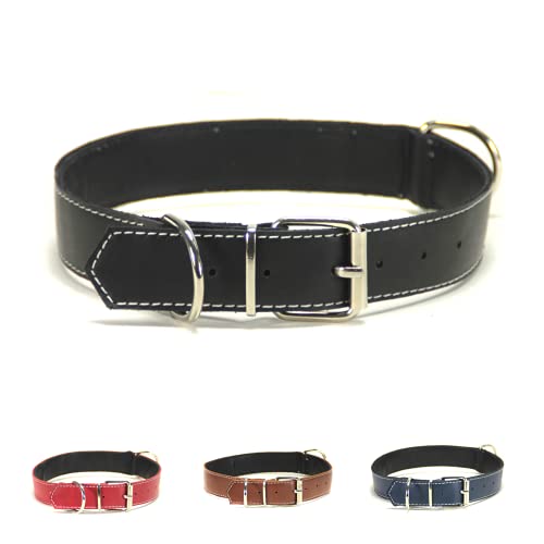 Collar para Perro de Piel, Perros pequeños, medianos y Grandes, Ancho y Resistente, Collares en Color marrón, Azul Marino, Negro y Rojo (L: Ajustable 36 - 46 CM, Ancho 2,5 CM, Negro)