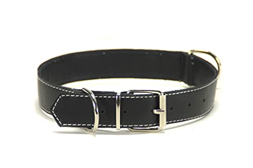 Collar para Perro de Piel, Perros pequeños, medianos y Grandes, Ancho y Resistente, Collares en Color marrón, Azul Marino, Negro y Rojo (L: Ajustable 36 - 46 CM, Ancho 2,5 CM, Negro)