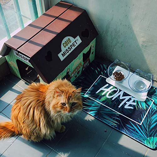 Comederos para Gatos Tazones De Comida para Gatos Plato para Gatos TazóN Elevado para Gatos Anti-VóMitos Tazones De AlimentacióN para Gatos Inclinados Tazones para Gatos con Soporte