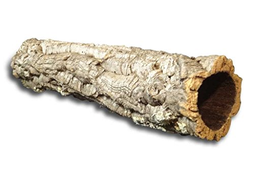 Corteza de corcho: cueva de corcho (Tubo de Chorcho) Longitud: 40 cm, Diámetro: 6-11 cm