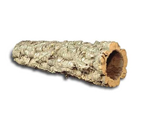 Corteza de corcho: cueva de corcho (Tubo de Chorcho) Longitud: 40 cm, Diámetro: 6-11 cm