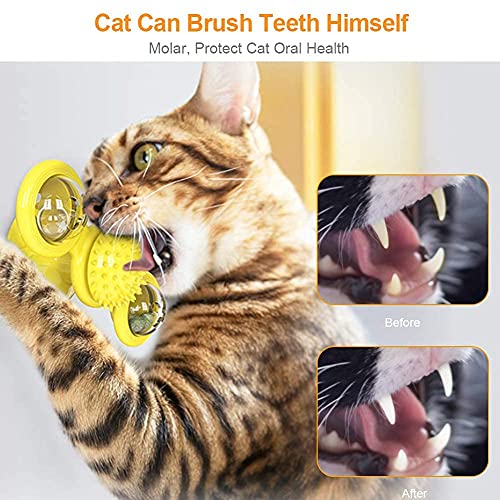 Crea Teen Play - Juguete para gatos divertido, promueve la salud dental y proporciona ejercicio (verde)