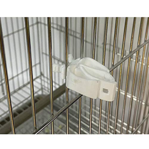 Dashun Alimentador de Aves para Loros, alimentación de, Frutas, Verduras, Pinzas, alimentador de Huesos de Sepia