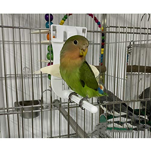 Dashun Alimentador de Aves para Loros, alimentación de, Frutas, Verduras, Pinzas, alimentador de Huesos de Sepia