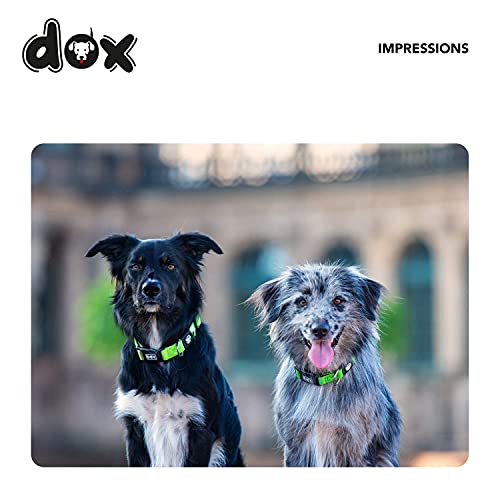DDOXX Collar Perro Nylon, Ajustable | Muchos Colores & Tamaños | para Perros Pequeño, Mediano y Grande | Collares Accesorios Gato Cachorro | Rosado Pink, S