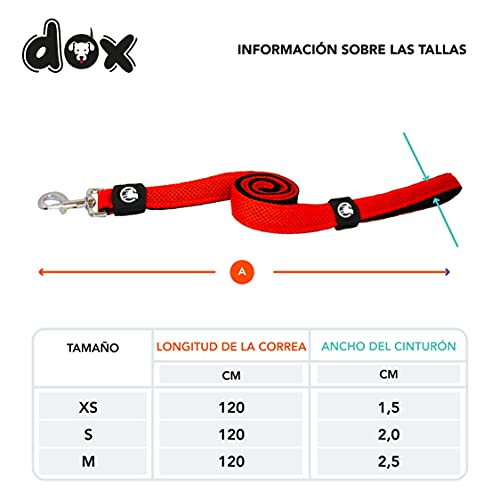 DDOXX Correa Perro Air Mesh, Acolchado, Lazo de Mano, 120 cm | Muchos Colores & Tamaños | para Perros Pequeño, Mediano y Grande | Accesorios Gato Cachorro | Naranja, XS